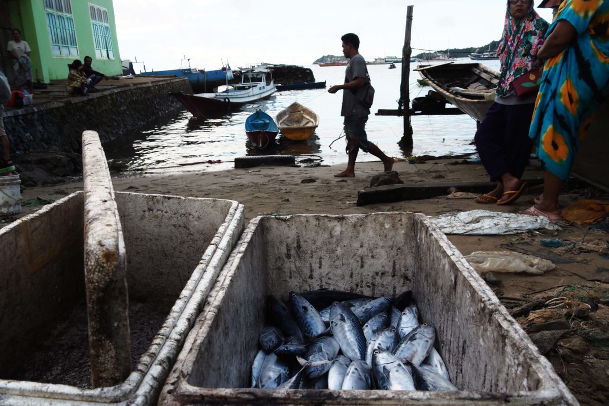 Tangkapan ikan para nelayan Lora terus menurun selama beberapa tahun terakhir. Foto: Riza Salman/ Mongabay Indonesia
