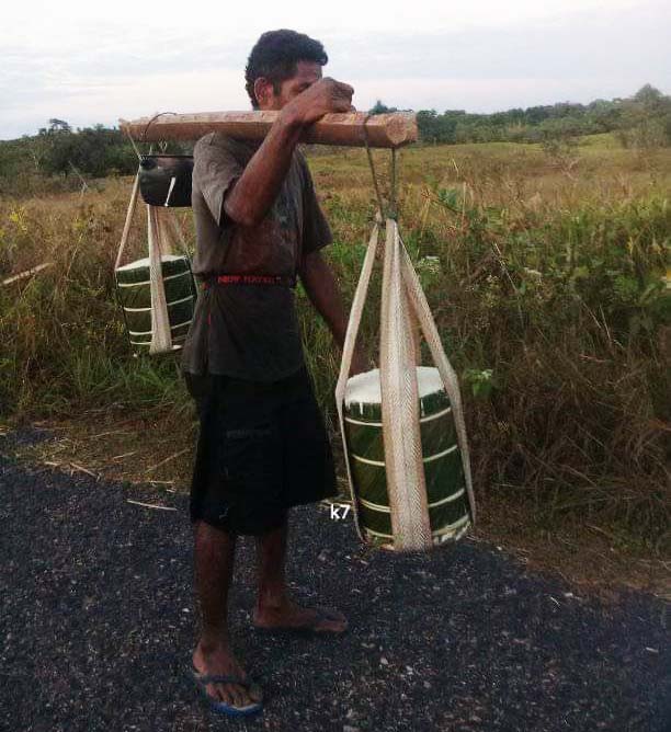 Warga Aru Selatan memikul tumang atau sagu, Makanan khas Masyarakat di Aru, Maluku. Foto: Masyarakat Adat Marafenfen.