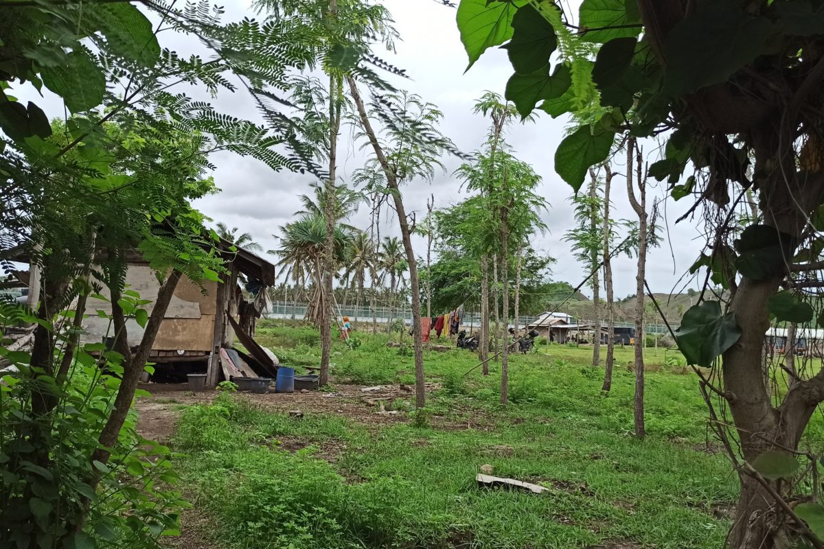 Di depan rumah warga Dusun Ebunut, polisi berjaga dengan cara mendirikan tenda dan memarkir kendaraan. Beberapa warga di Dusun Ebunut masih bertahan karena belum mendapatkan ganti rugi. Foto: Fathul Rakhman/Mongabay Indonesia