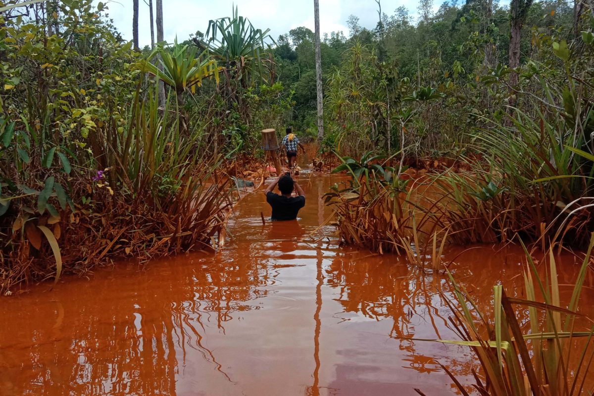 Begini penampakan air sungai di Kwasi kini dari sebelumnya jernih. Apakah ini bukan pencemaran namanya? Foto: Rabul Sawal/ Mongabay Indonesia