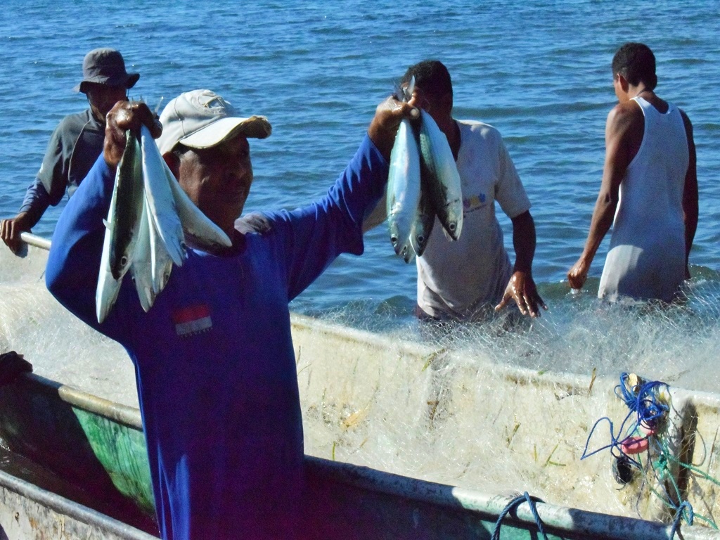 Akibat yang ditimbulkan jika nelayan menggunakan pukat harimau untuk menangkap ikan di laut adalah