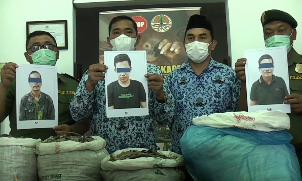 Foto tiga pelaku dari jaringan perdagangan ilegal trenggiling. Foto: Ayat S Karokaro/ Mongabay Indonesia