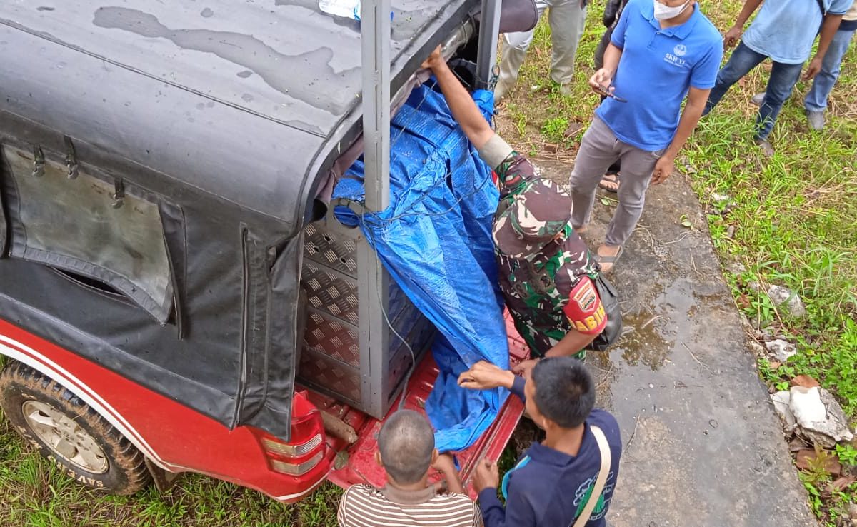 Harimau Sosopan saat evakuasi ke Suaka Barumun. Foto: Ayat S Karokaro/ Mongabay Indonesia
