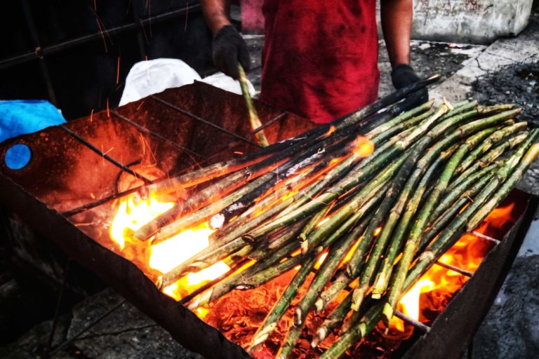 Pucuk rotan muda yang dibakar dan jadi menu khas Mandailing Natal, bernama, pakkat. Foto: Ayat S Karokaro/ Mongabay Indonesia