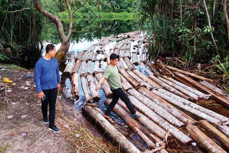 Kayu-kayu hasil pembalakan liar yang dihanyutkan dan berhasil diamankan petugas. Foto: Humas Polda Riau