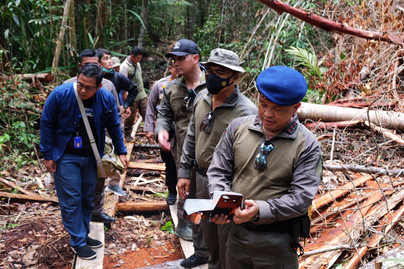 Petugas kala turun lapangan dan melihat GSK terbabat pembalakan liar. Foto: Humas Polda Riau