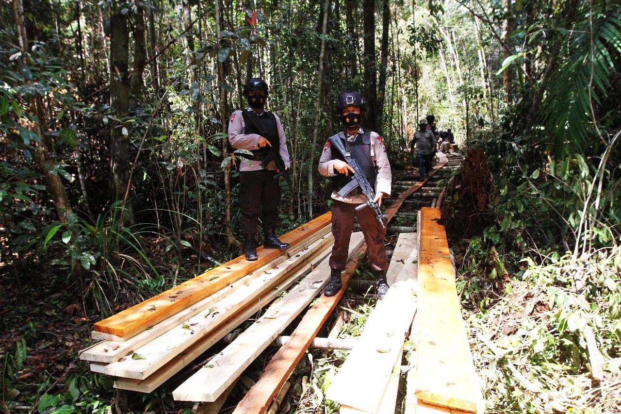 Kayu-kayu pembalakan liar diamankan petugas. Foto: Humas Polda Riau