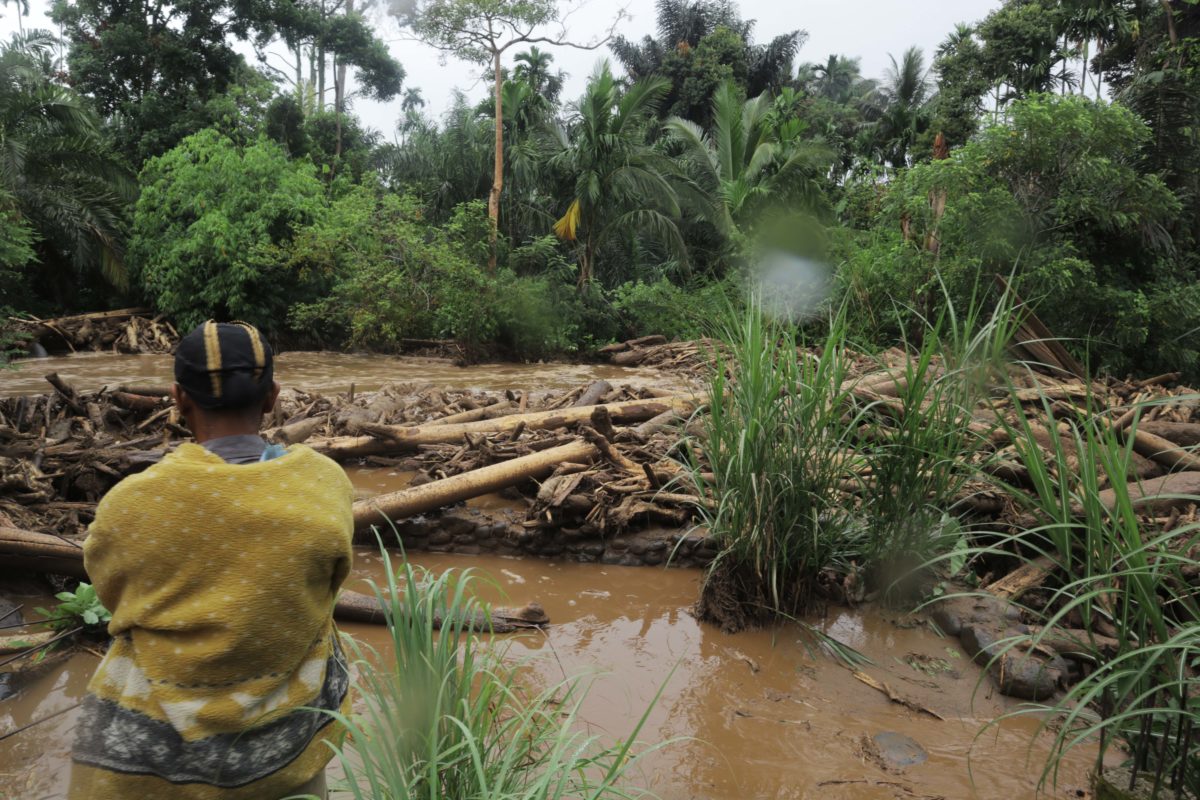 Banjir bandang di Sungai Batang Naga, Nagari Kajai, pasca gempabumi membawa kayu-kayu dari atas bukit. Foto: Jaka HB? Mongabay Indonesia 