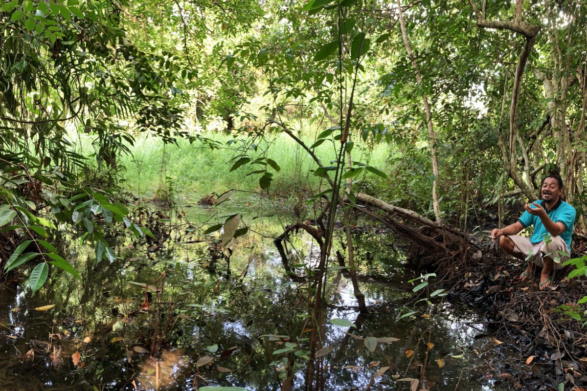 Adi I, warga Jambi Tulo memperlihatkan sungai kuno yang akan dinormalisasi pemerintah. Dia khawatir, normalisasi akan merusak tutupan pohon di tepian sungai--yang sudah terjadi di beberapa titik--. Foto: Yitno Suprapto. Mongabay Indonesia