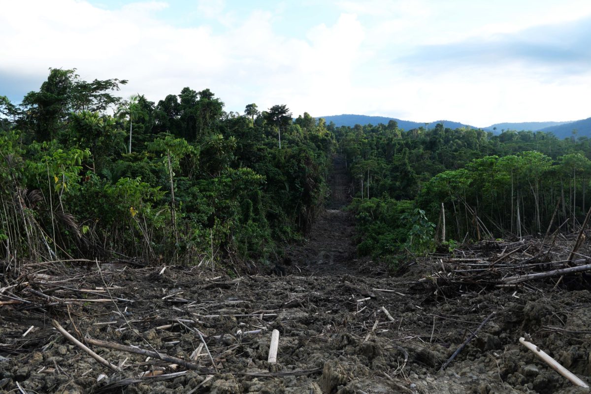 Deforestasi juga persoalan lingkungan hidup yang terus terjadi di negeri ini. Foto: Asrida Elisabeth/ Mongabay Indonesia