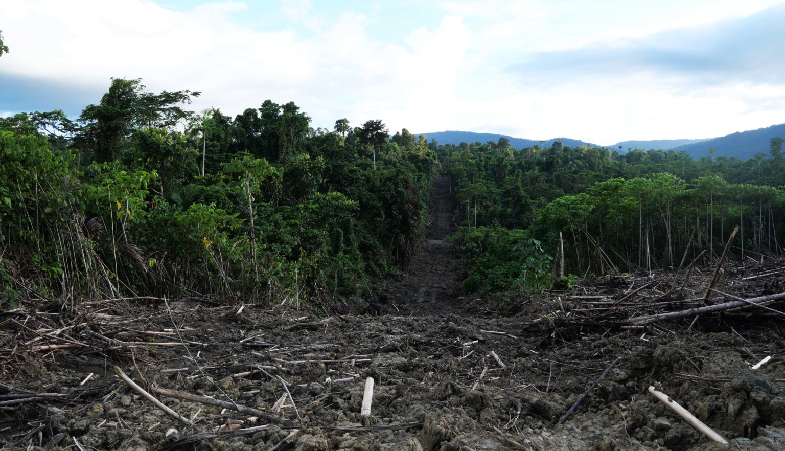 alan yang dibuat perusahaan sawit dengan membuka hutan di Kampung Beneik, Distrik, Unurum Guay, Kabupaten Jayapura, Papua. Foto: Asrida Elisabeth/ Mongabay Indonesia
