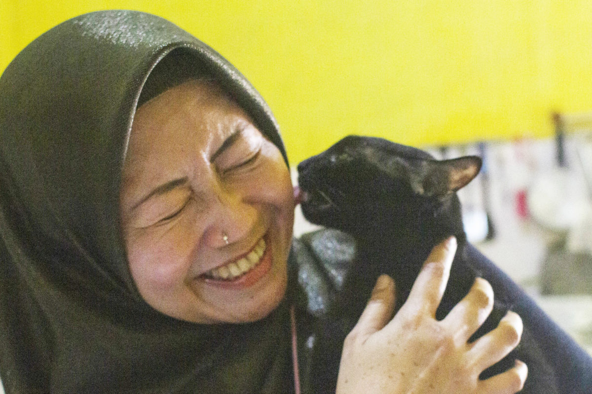 Mala, bersama salah satu kucing yang dia rawat. Foto: Jaka HB/ Mongabay Indonesia
