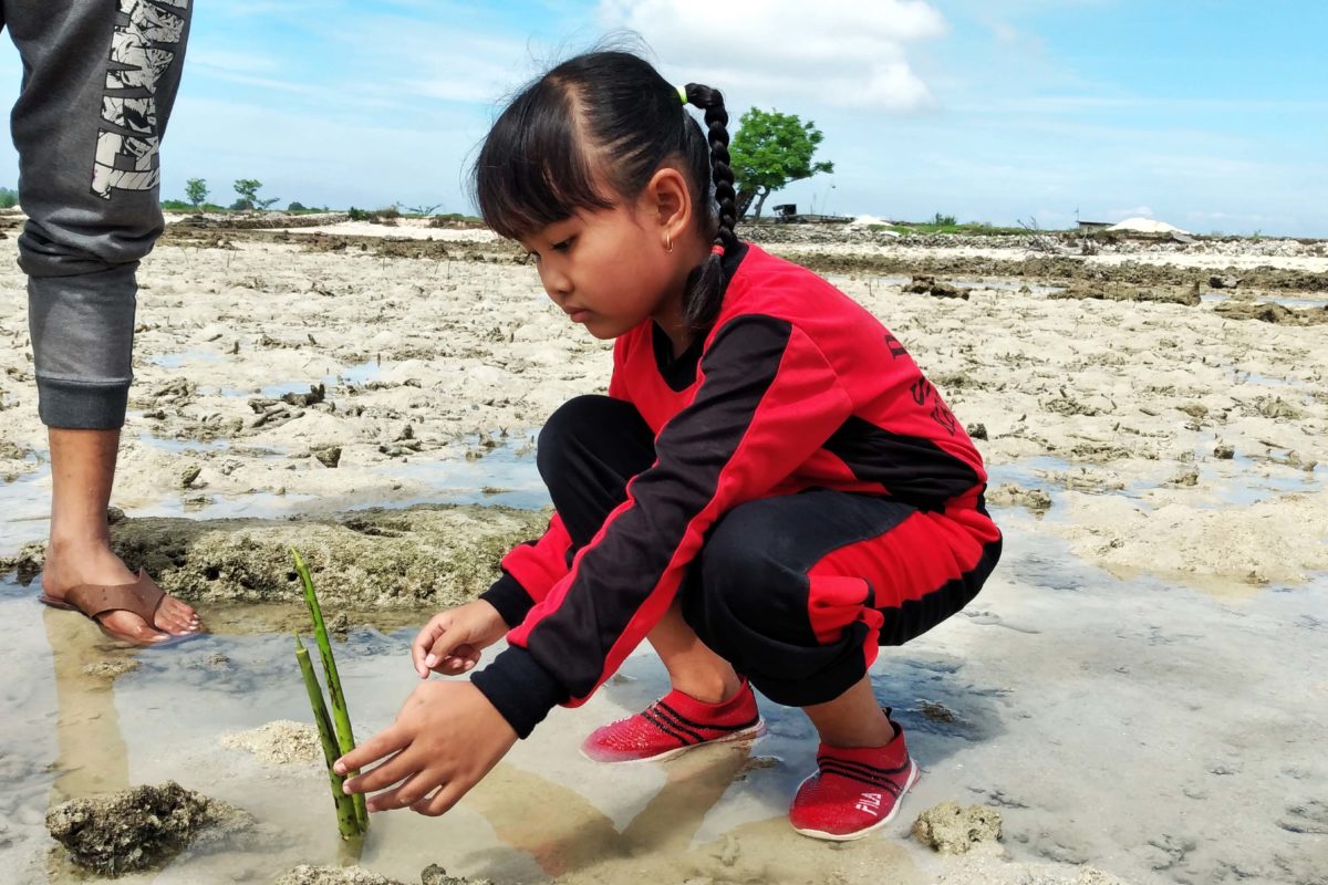Anak-anak SD ini ikut menanam mangrove di Pantai Marron. Foto: Moh Tamimi/ Mongabay Indonesia