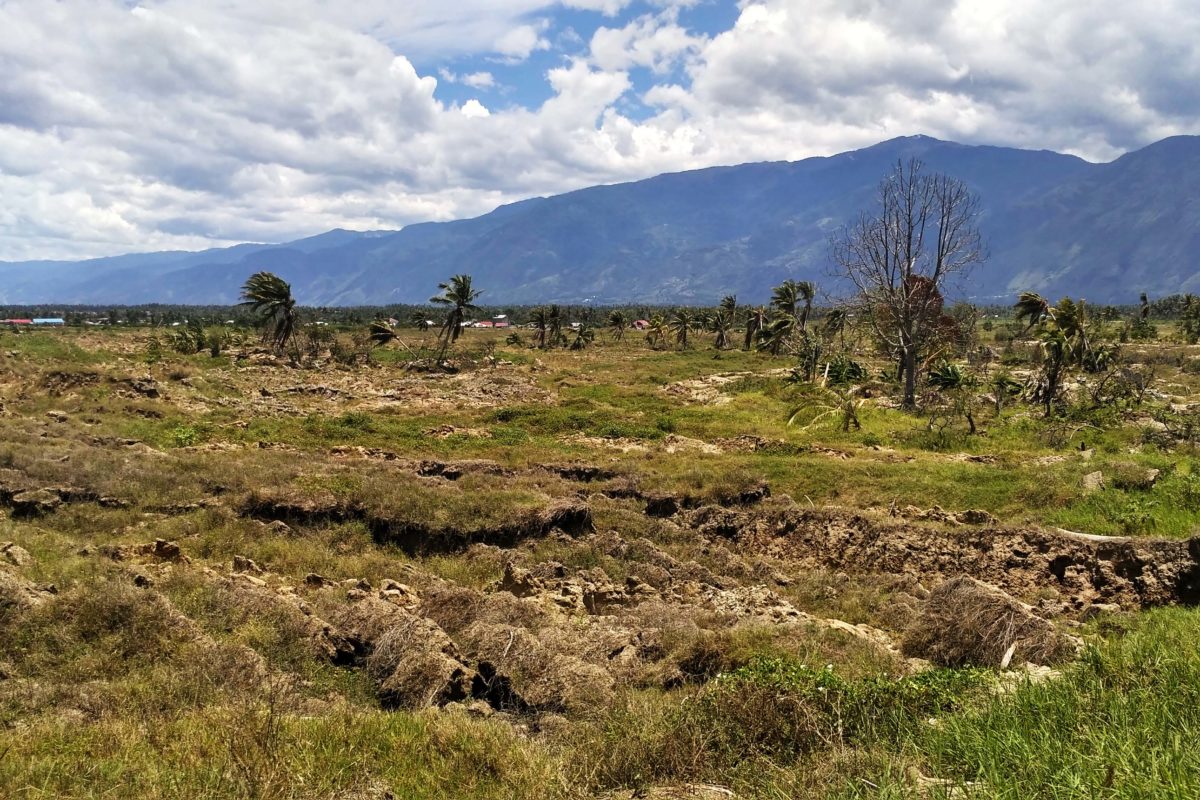 Tanah gersang, hari tanpa hutan di Sulteng makin panjang, kalau hujan pun ekstrem hingga berdampak pada pertanian warga. Foto: Minnie Rivai/ Mongabay Indonesia