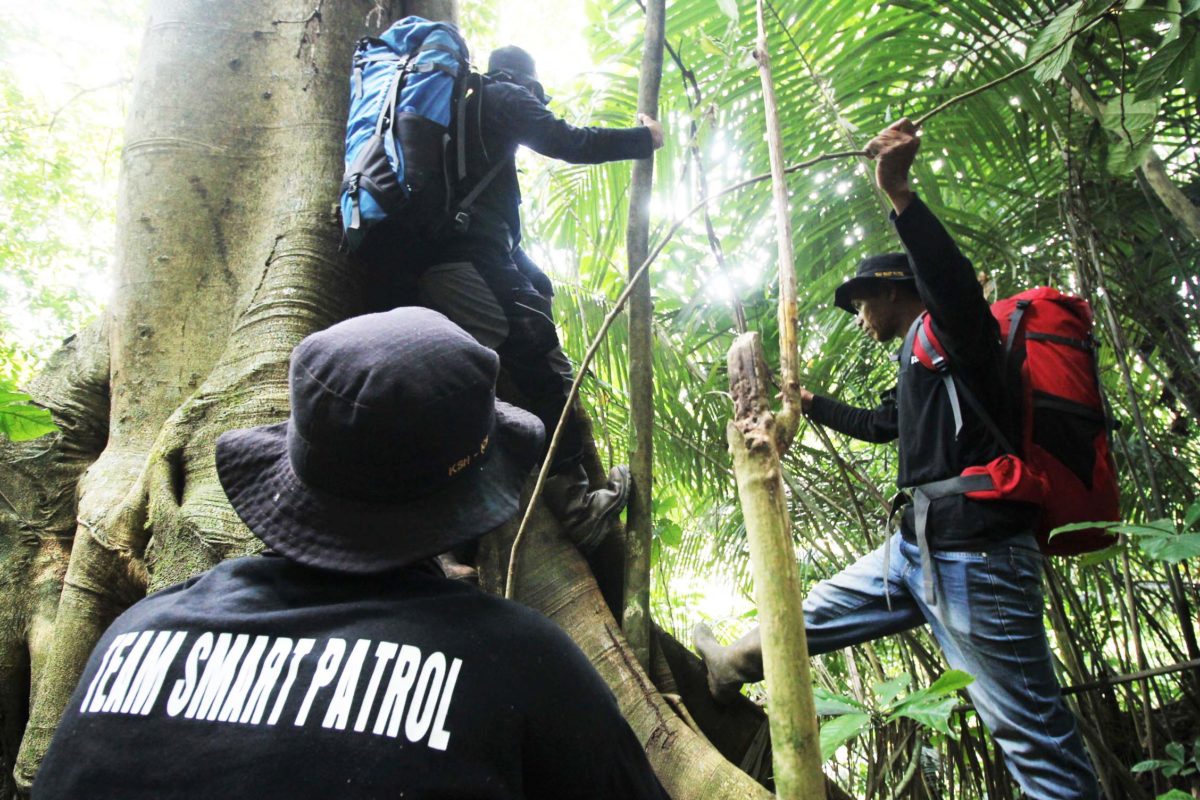 Tim Patroli Hutan Nagari Sako Utara Pasir Utara sedang pengawasan di hutan. Foto: ELviza Diana/ Mongabay Indonesia