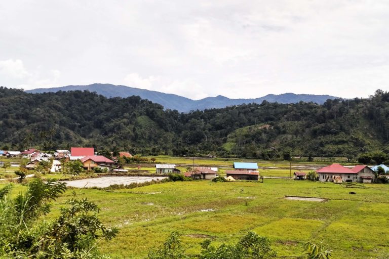 Pemandangan Ngata Toro. Desa kediaman Komunitas Toro yang terletak dalam kawasan Taman Nasional Lore Lindu. Foto: Minnie Rivai/ Mongabay Indonesia