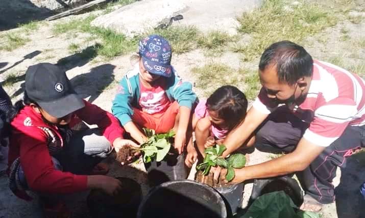Anak-anak di 'Sopo Baca Haminjon' juga belajar cara menanam, tentunya secara alami. Foto: Barita News L/ Mongabay Indonesia