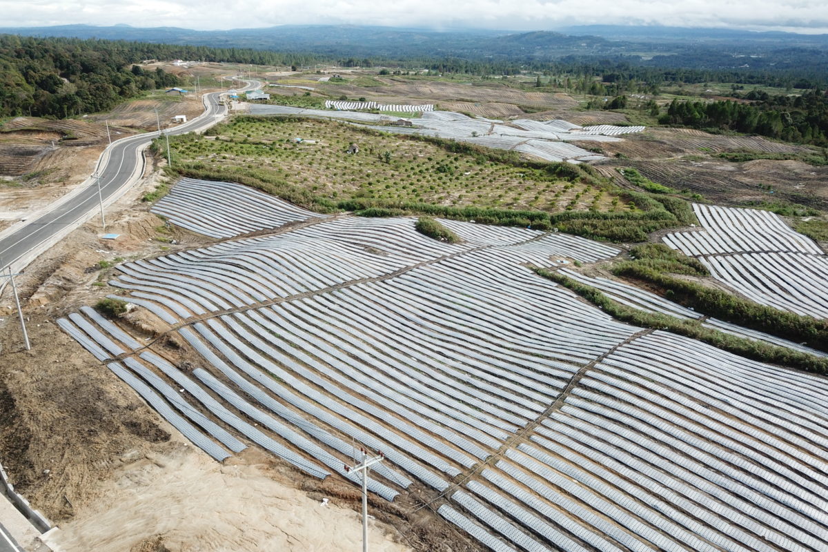 Buka lahan skala luas untuk food estate, terjadi deforestasi, ancaman picu bencana. Foto: Baritanews Lumbanbatu/ Mongabay Indonesia