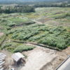 Pembukaan lahan pertanian skala luas, picu laju deforestasi? Foto: Baritanews Lumbanbatu/ Mongabay Indonesia