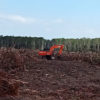 Alat berat perusahaan dan hutan Merauke yang terbabat. Foto: Koalisis organisasi masyarakat sipil