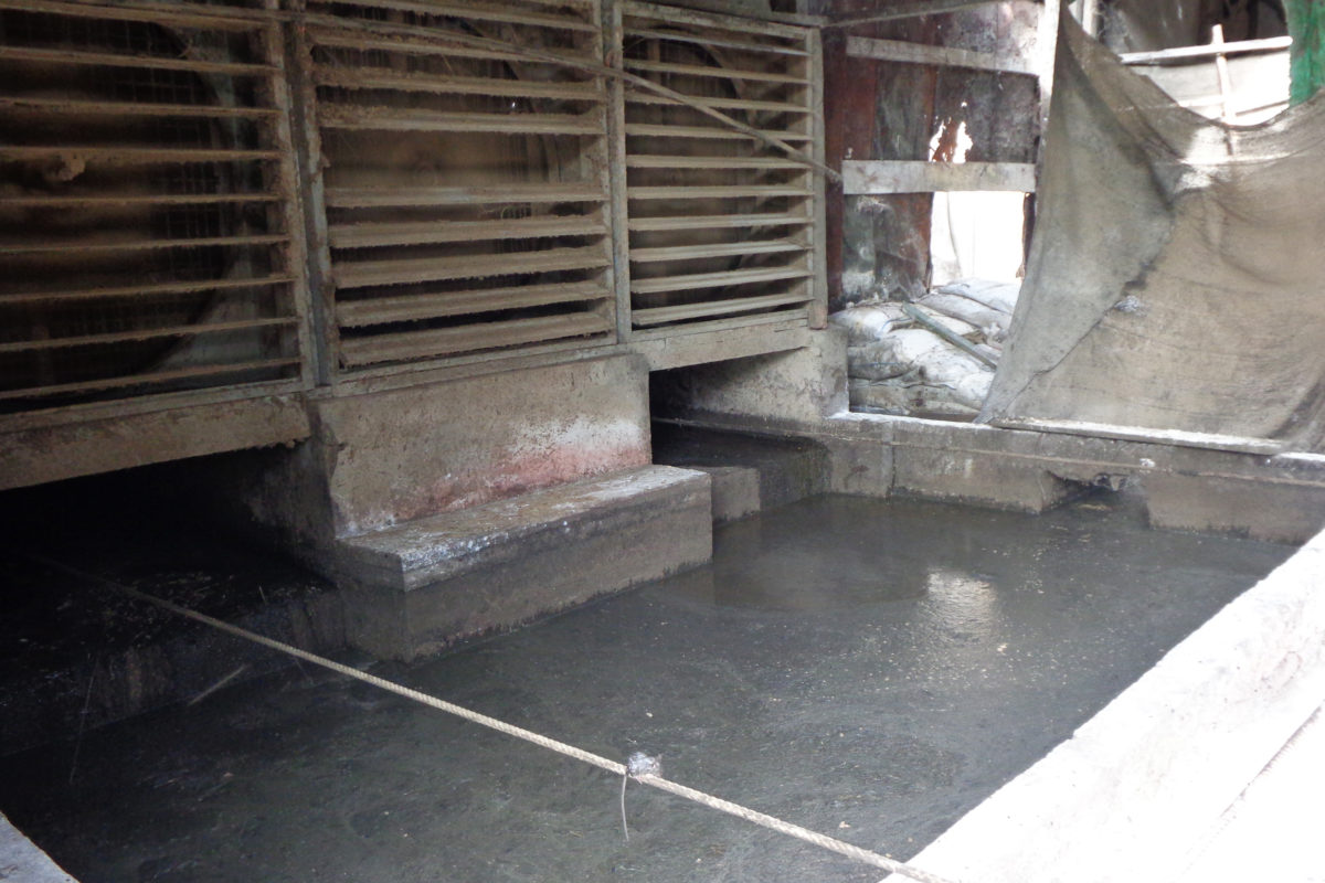 Kolam besar untuk pembuangan kotoran ayam milik PT. Harvest Papua. Foto: Agapitus Batbual/ Mongabay Indonesia 