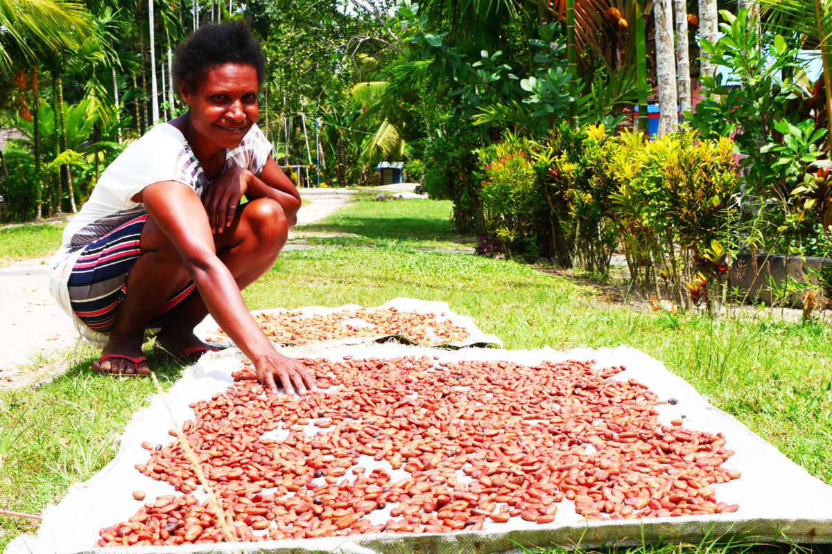 Miriam Manggo, tengah menjemur coklat hasil panennya. Foto: Asrida Elisabeth/ Mongabay Indonesia