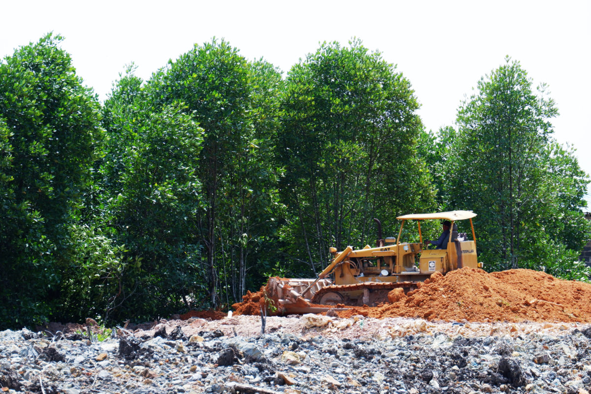Pepohonan tumbang, tanah ditimbun untuk bikin perumahan di Kota Batam. Foto: Yogi Eka Sahputra/ Mongabay Indonesia