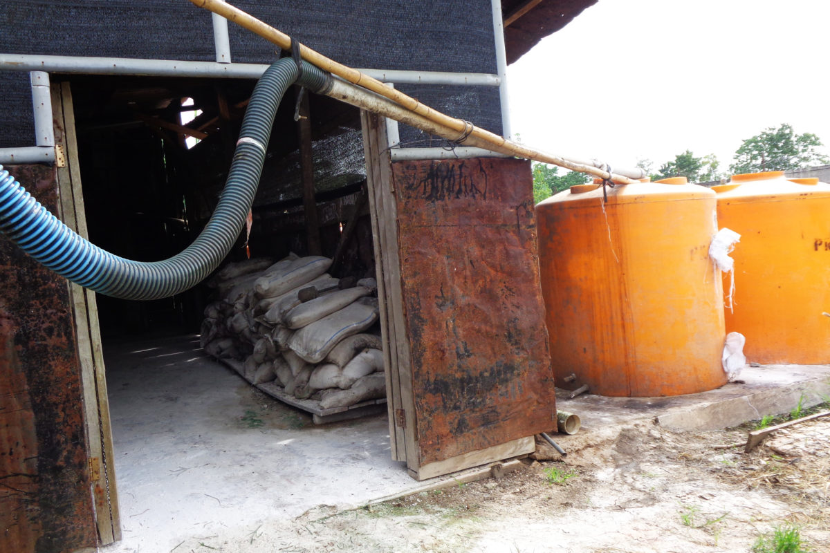  Ratusan bantal dolomit di bagian belakang kandang untuk proses kimiawi. Setelah mengeras barulah, bisa digunakan petani sebagai pupuk. Foto. Agapitus Batbual/ Mongabay Indonesia 