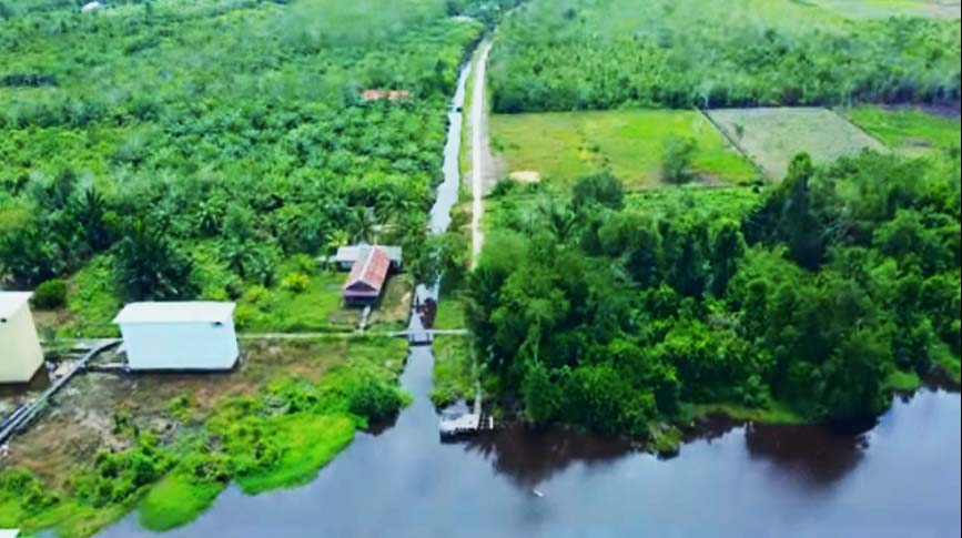 Foto dari udara bagaimana kebun sawit Wilmar di Sambas, yang langsung terhubung dengan sungai yang diduga tercemar. Foto: Ecoton