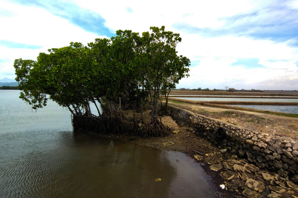 DI tepian Sungai Sangkarra ini, dulu hutan mangrove, kini sebagian jadi tambang...Foto: Eko Rusdianto/ Mongabay Indonesia
