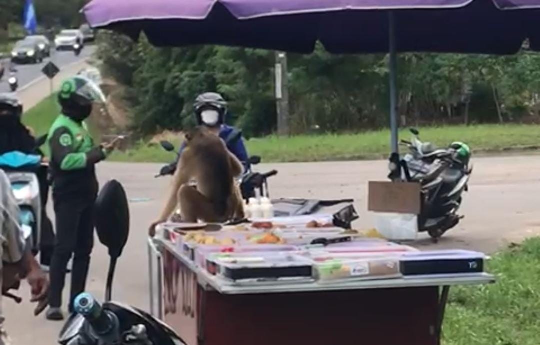 Warga yang menyaksikan monyet mendatangani lapak jualan takjil warga. Tak lama ada yang data dan menombaknya hingga mati. Foto: Davin