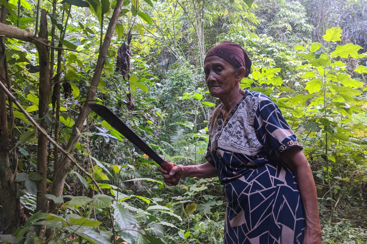 Ermi Mauke, di hutan yang dia pulihkan. Foto: Sarjan lahay/ Mongabay Indonesia