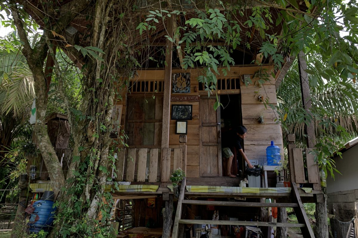 Rumah Menapo di Desa Muara Jambi. Foto: Yitno Suprapto/ Mongabay Indonesia