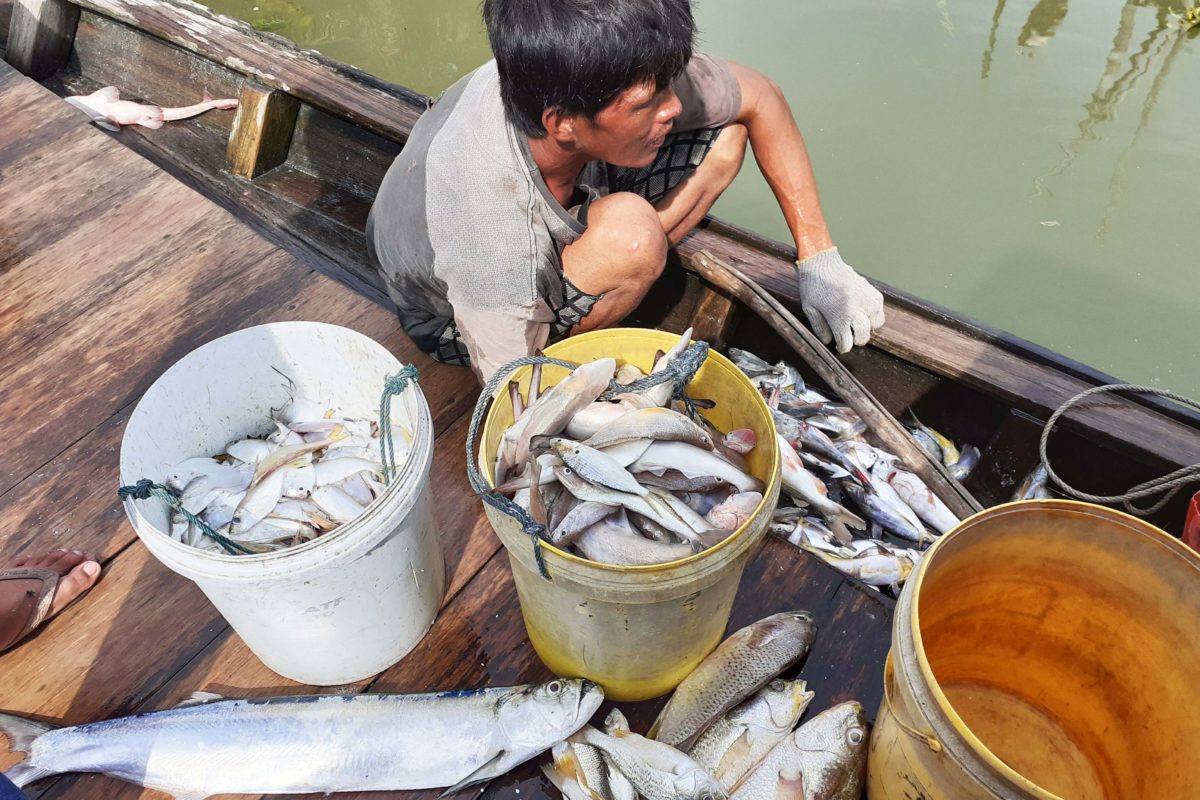 Hasil tangkapan nelayan mulai membaik setelah KKP menyetop pertambangan pasir di perairan Rupat. Foto: Suryadi/ Mongabay Indonesia
