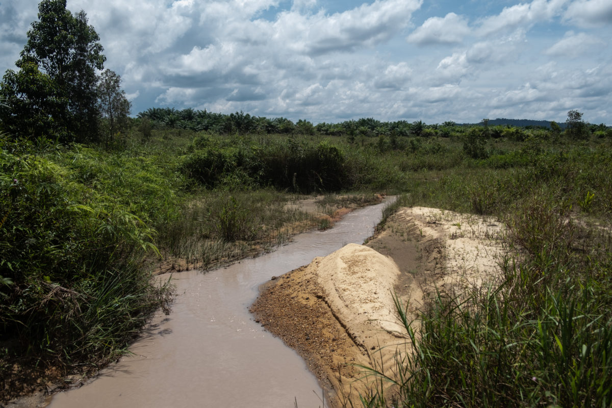 Anak sungai yang rusak akibat penambangan timah di lanskap Bukit Duren, Belitung Timur. Sekitarnya ditanami sawit. Foto Nopri Ismi-Mongabay Indonesia