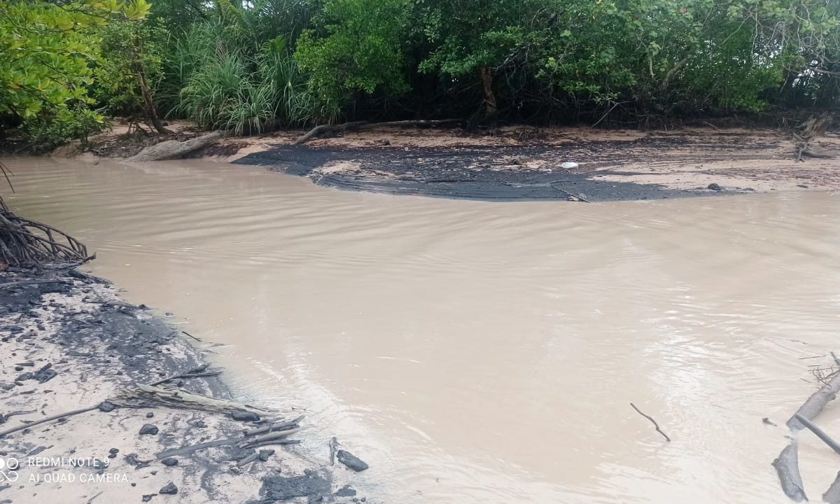Sungai di Pulau Bunyu yang tercemar limbah batubara. Foto: Hartono