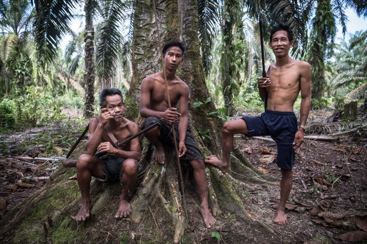 Dari kiri, Katap, Rendi, dan Mat Yadi berdiri di bawah pohon terap di sebuah perkebunan sawit. Hampir semua tumbuhan dibabat untuk membuka perkebunan. Oleh Nopri Ismi.