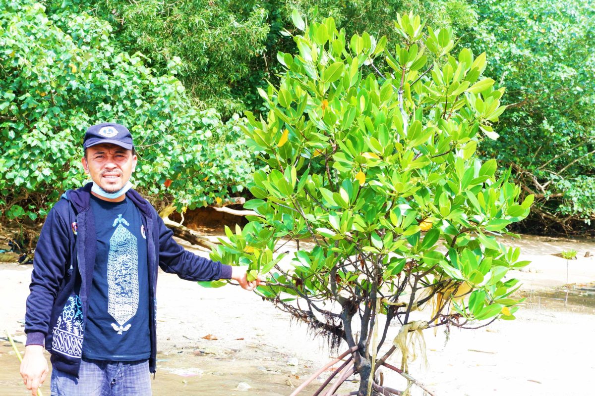Gerri D Semet, merawat mangrove di Kampung Tua Sekip di Kota Batam. Foto: Yogi E Sahputra/ Mongabay Indonesia