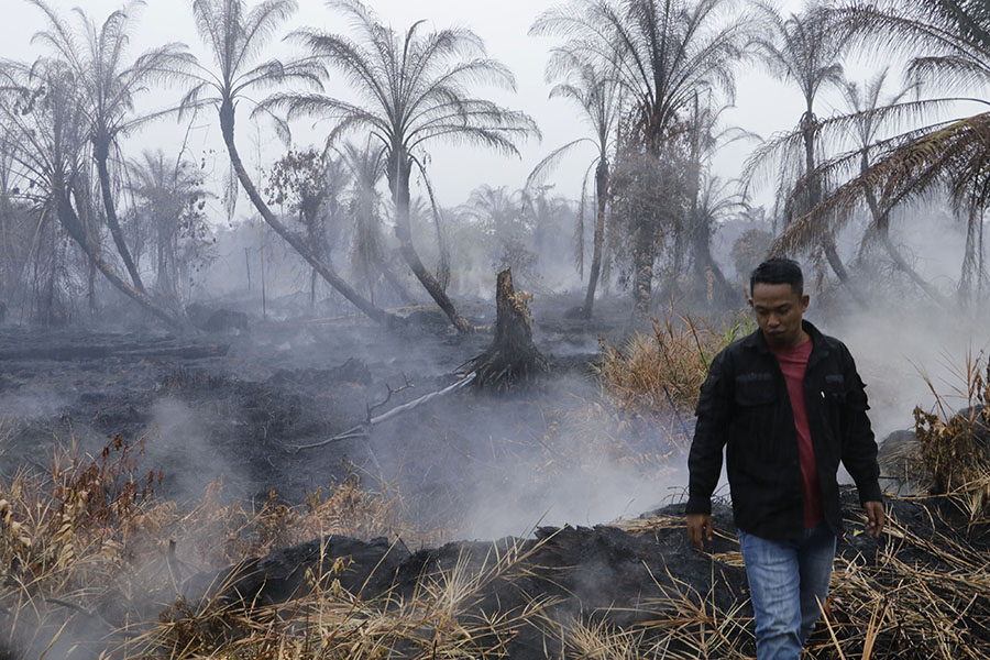 Kebakaran di lahan gambut Rawa Tripa ini berlokasi di areal konsesi PT. Gelora Sawita Makmur.. Foto: Junaidi Hanafiah/ Mongabay Indonesia