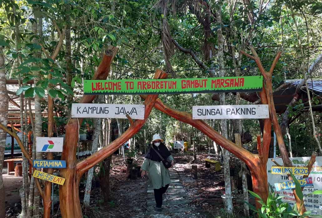 Arboretum Gambut Marsawa., Sadikin yang kini menjadi tempat eduwisata juga penelitian. Foto: Suryadi/ Mongabay Indonesia