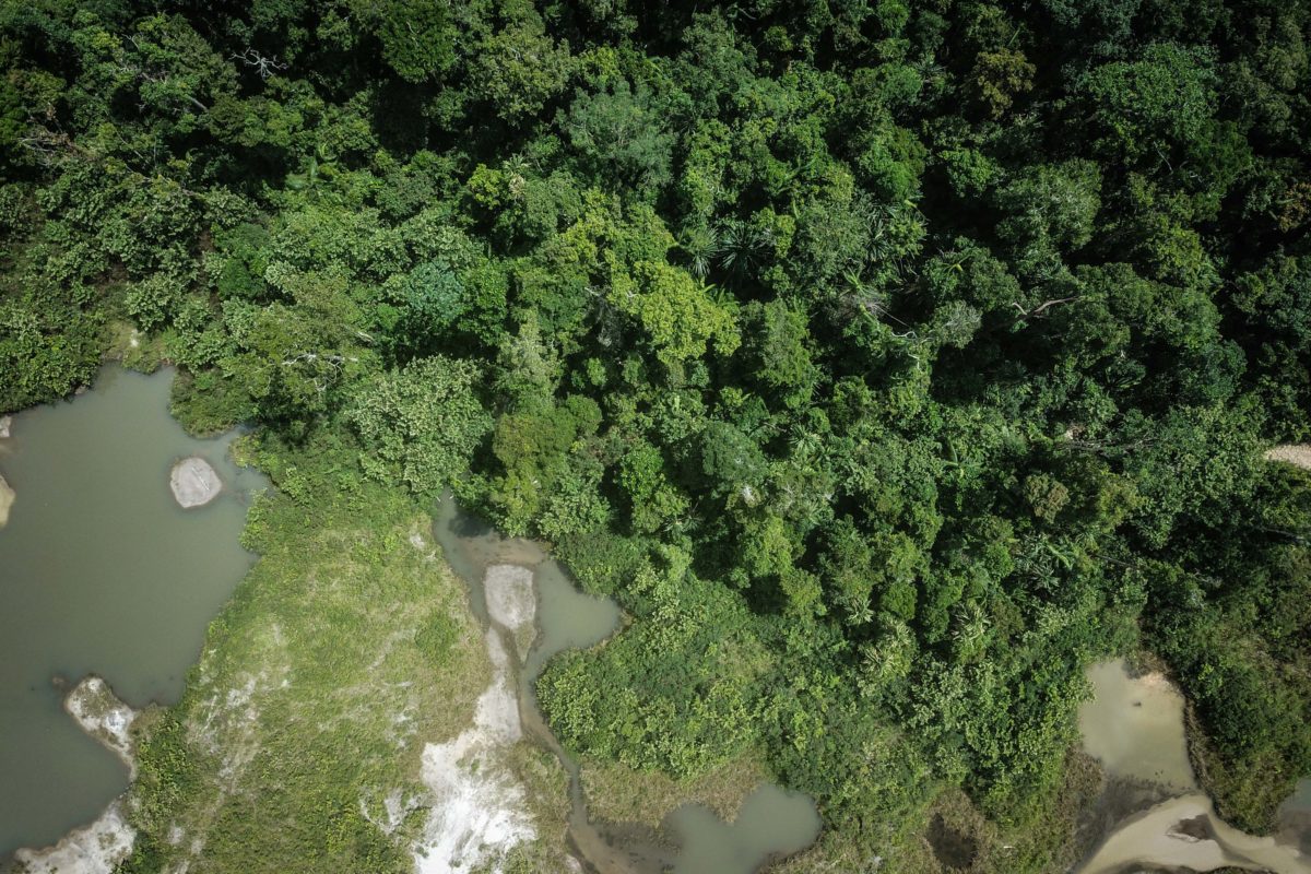 Salah satu kawasan hutan di lanskap Gunung Duren, Belitung Timur, Kepulauan Bangka Belitung, yang dirambah penambang timah ilegal. Foto [Drone] M. Rizqi Ramadhani/Mongabay Indonesia