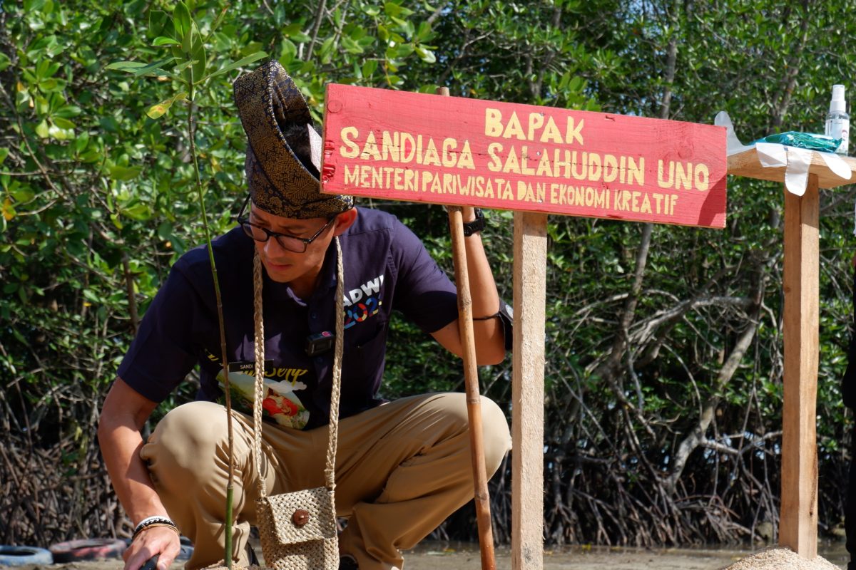Sandiaga Uno, menanam di hutan mangrove Pandang Tak Jemu. Foto: Yogi Eka S/ Mongabay Indonesia