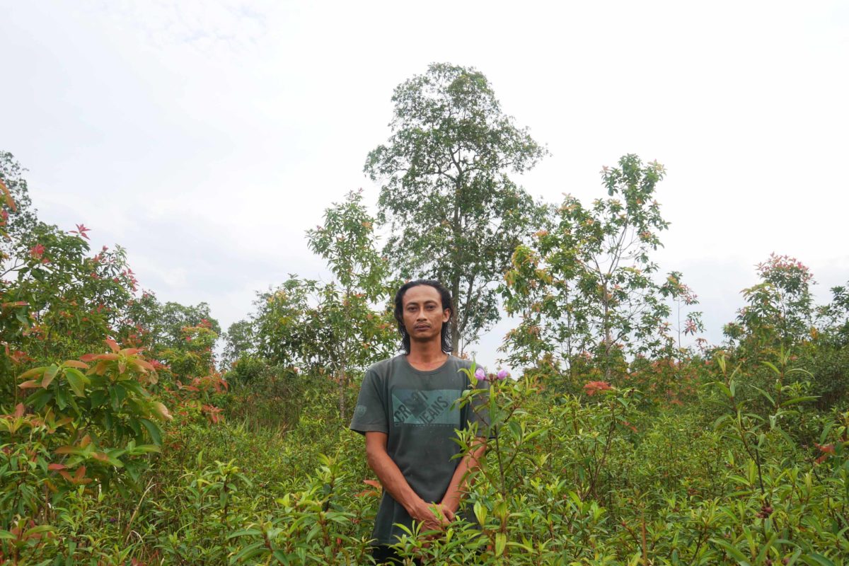  Arum, salah satu masyarakat Dusun Tanjung Tirto, Desa Bungur yang ikut dalam upaya restorasi hutan bersama dengan Yayasan Auriga. Foto: Lusia Arumingtyas/ Mongabay Indonesia