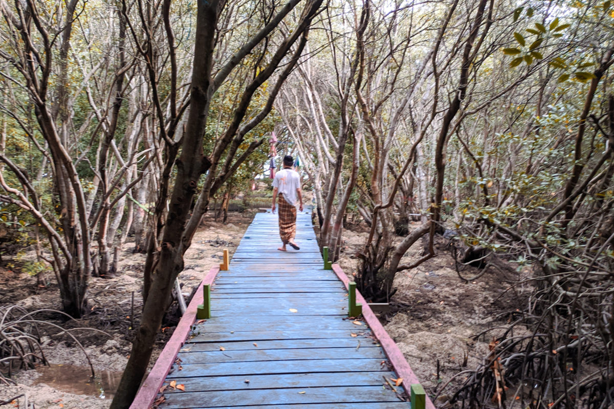 Aziil-Anwar-menapaki-jembatan-kayu-ke-Baluno-tempat-hutan-mangrove-Agus-Mawan-1.jpg