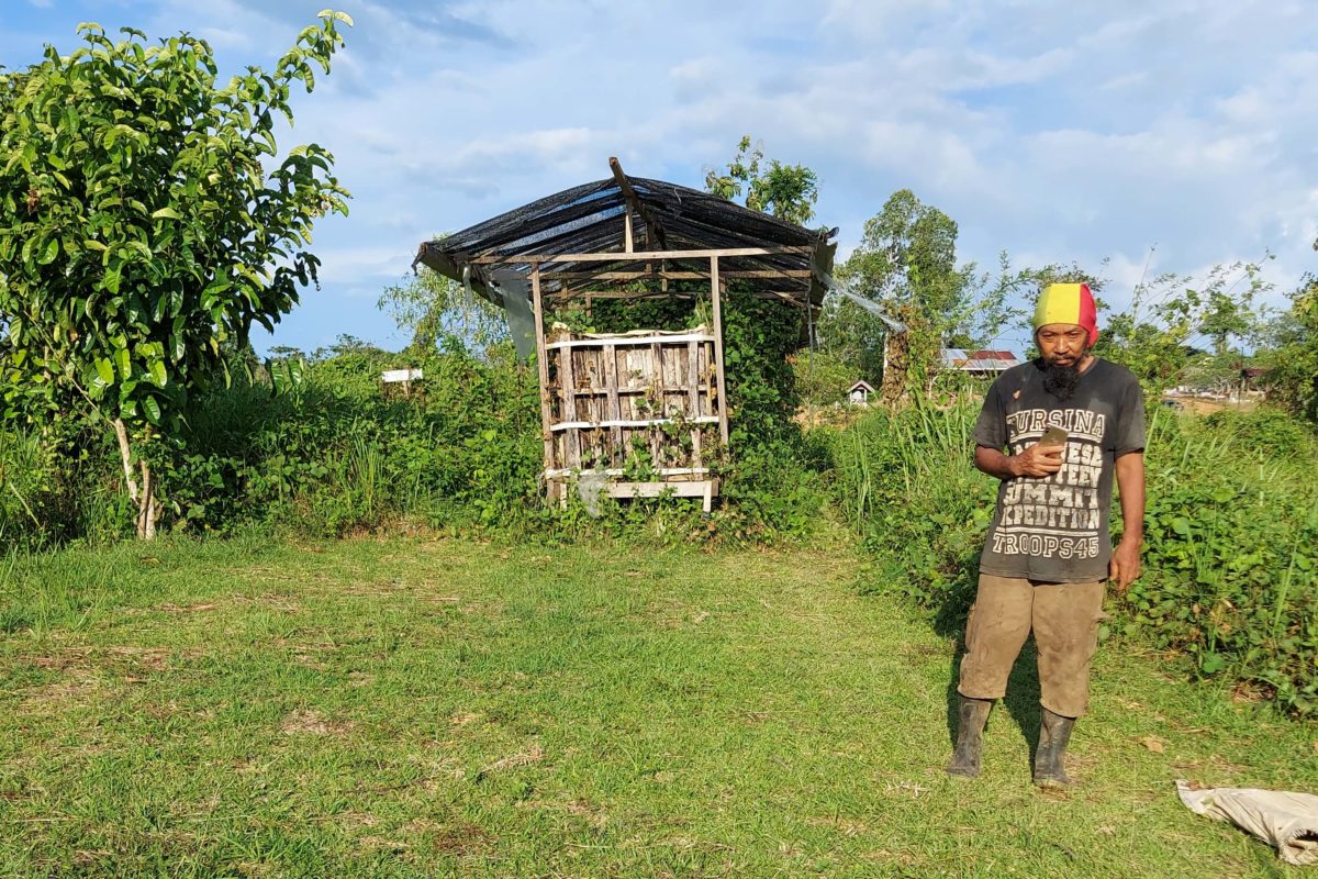 Kebun Kompipa, menerapkan sistem permakultur. Menanam dengan ramah alam. Foto: : Tantowi Djauhari