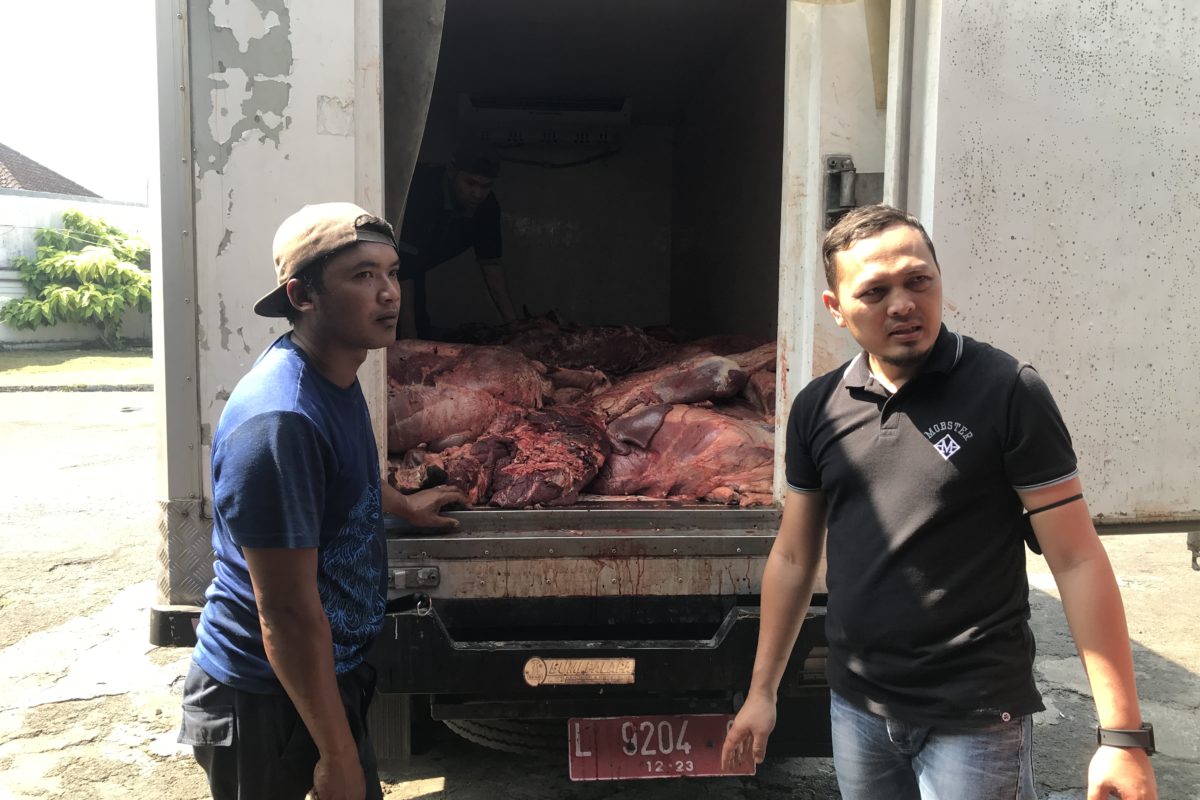 Pegawai RPH-R memasukkan daging sapi yang telah dipotong ke dalam truk pengangkut daging. (Foto: Eko Widianto).
