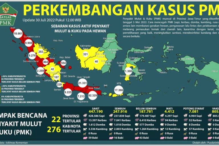 Perkembangan kasus PMK di Indonesia. Foto: BNPB