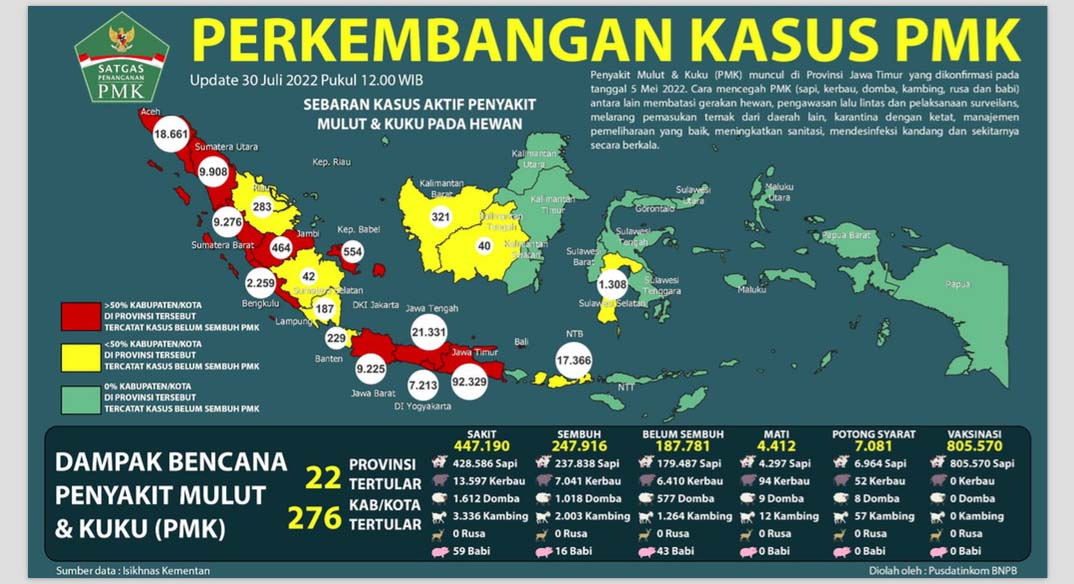 Perkembangan kasus PMK di Indonesia. Foto: BNPB