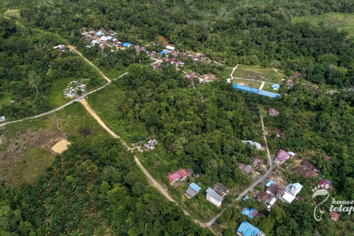 Desa Setawar, sekitar 400 hektar wilayah desa ini merupakan hutan adat atau rimba yang terjaga. Desa punya aturan desa untuk perlindungan kawasan. Foto: Kaoem Telapak