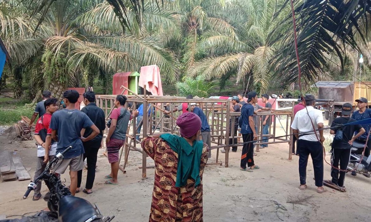 Warga Desa Terancang, Kecamatan Tambang, Kampar, Riau,, berjaga di kebun sawit buntut dari sengketa kepengurusan koperasi. Foto: Suryadi/ Mongabay Indonesia